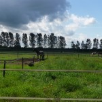 erf en weide (38)